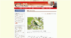 Desktop Screenshot of column.chaocnx.com